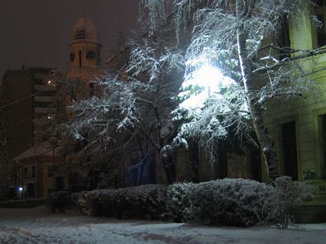 Branislava Milenkovic